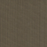 365 Colorama Ebony Sand