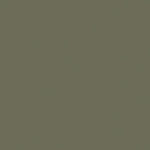 Soltis Proof 502 Olive